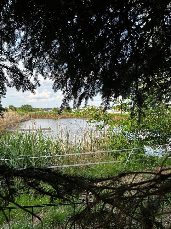 Działka budowlana Dąbrowa. Zdjęcie 7