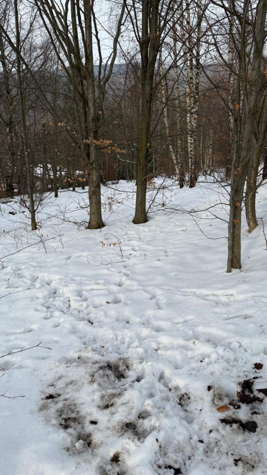 Działka rekreacyjna Wilkowice Górne Wilkowice, ul. Narciarska