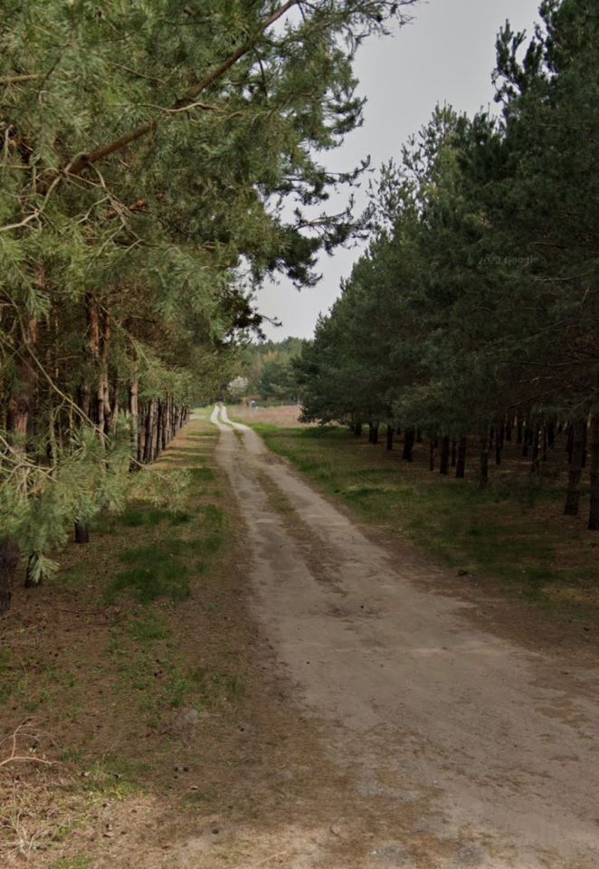 Działka rekreacyjna Gulczewo. Zdjęcie 4