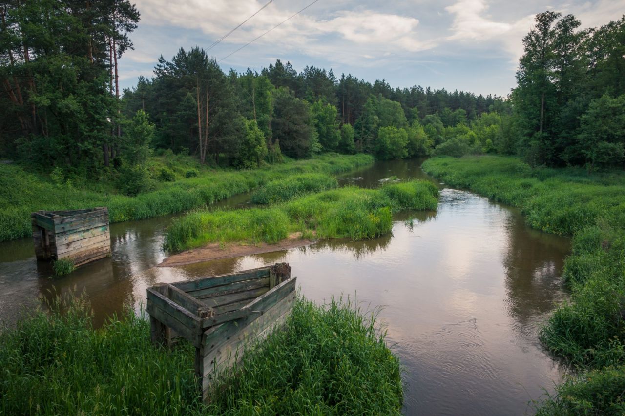 Działka budowlana Wola Goryńska. Zdjęcie 6