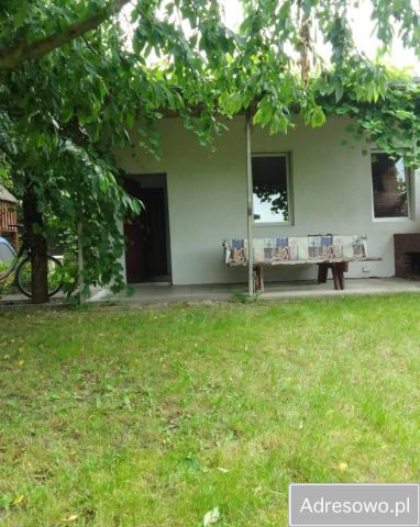 Działka rod Jarocin, ul. Kasztanowa. Zdjęcie 1