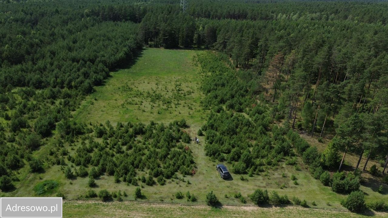 Działka siedliskowa Gostomko, ul. Cisowa. Zdjęcie 3