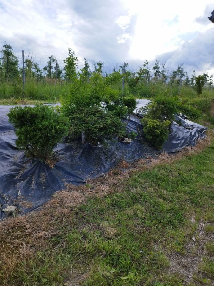 dom wolnostojący Łącko. Zdjęcie 4