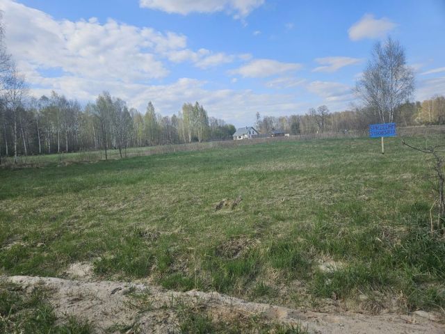 Działka rolno-budowlana Oleksin. Zdjęcie 1