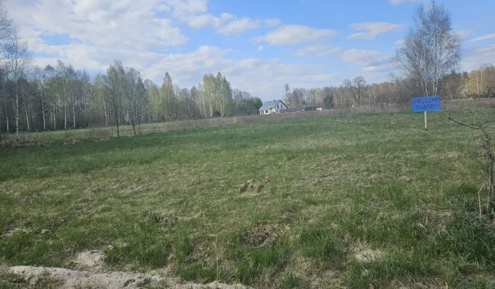 Działka rolno-budowlana Oleksin