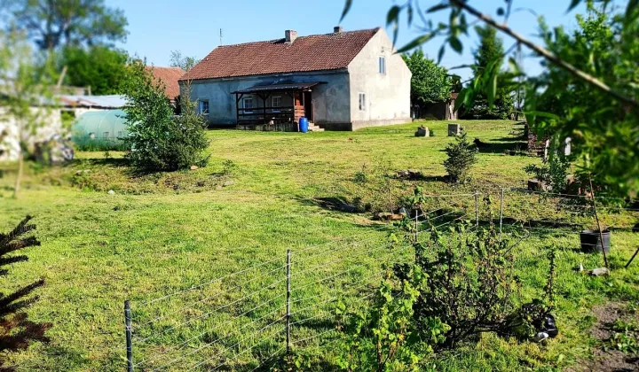 dom wolnostojący, 4 pokoje Gronowo