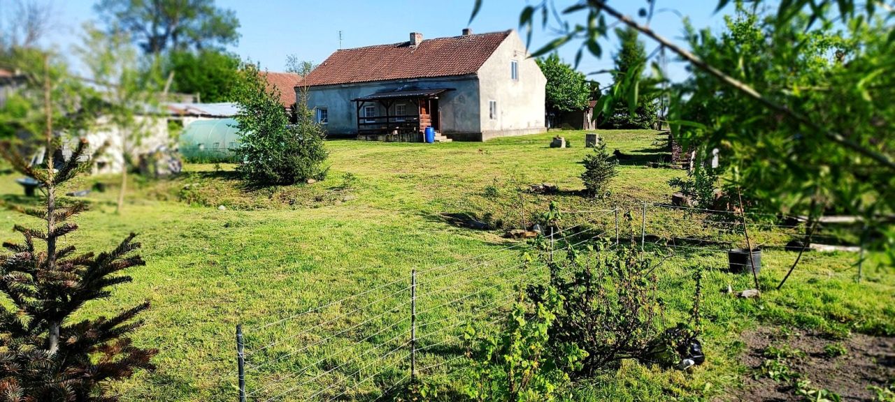 dom wolnostojący, 4 pokoje Gronowo. Zdjęcie 1