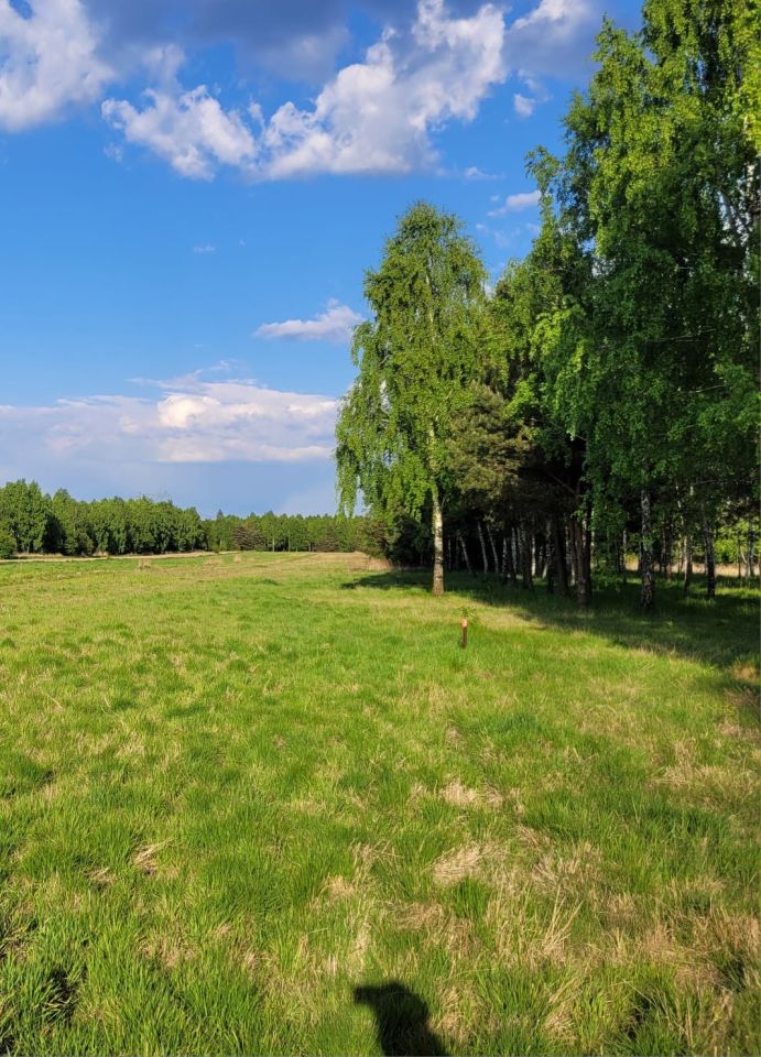 Działka budowlana Konary, ul. Brzozowa. Zdjęcie 4