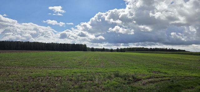 Działka rolna Okalewko. Zdjęcie 1