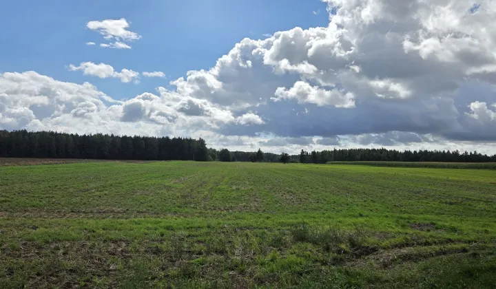 Działka rolna Okalewko