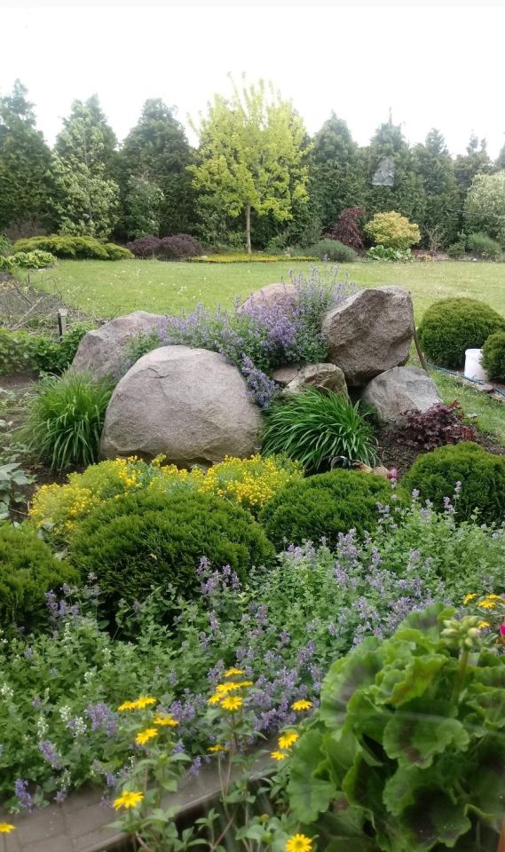 Działka rolna Aleksandria. Zdjęcie 5