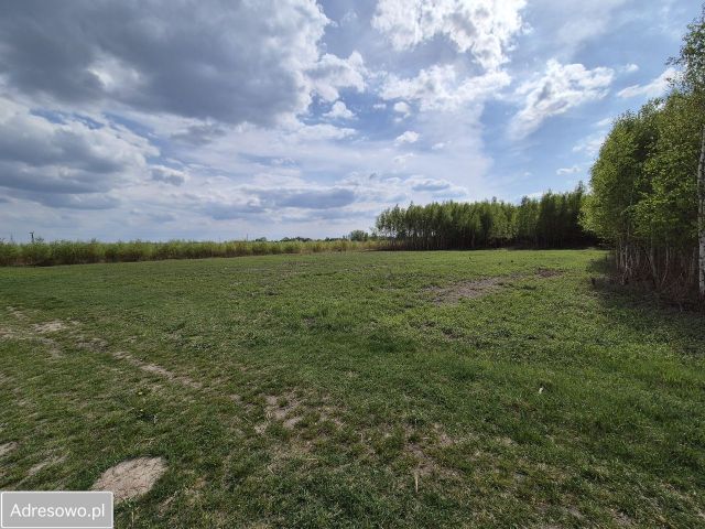 Działka budowlana Robercin. Zdjęcie 1