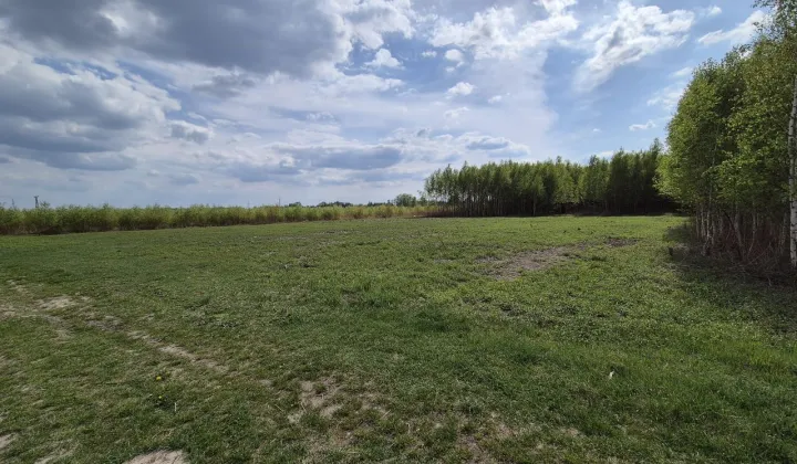 Działka budowlana Robercin