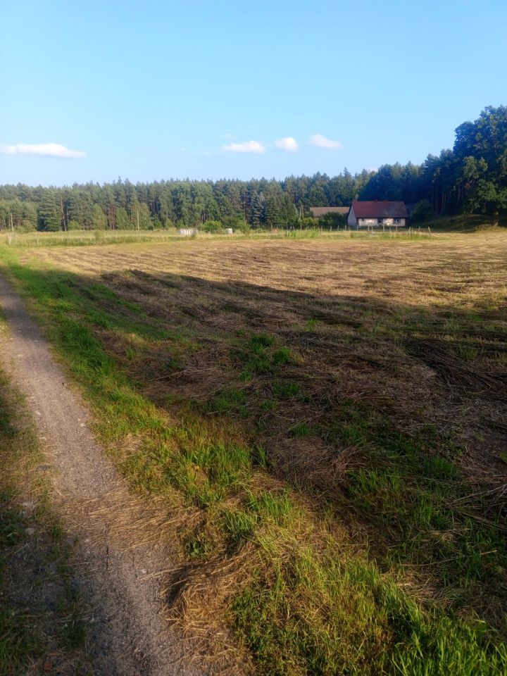 Działka siedliskowa Żydowo. Zdjęcie 2