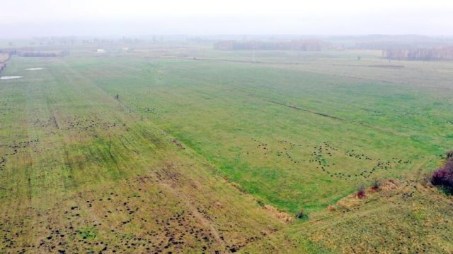 Działka rolna Siedliska. Zdjęcie 11