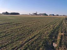 Działka rolno-budowlana Żałe. Zdjęcie 2