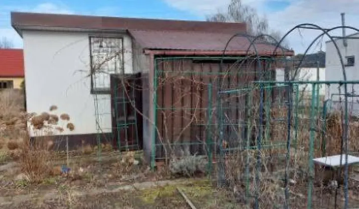 Działka rod Michałów-Reginów