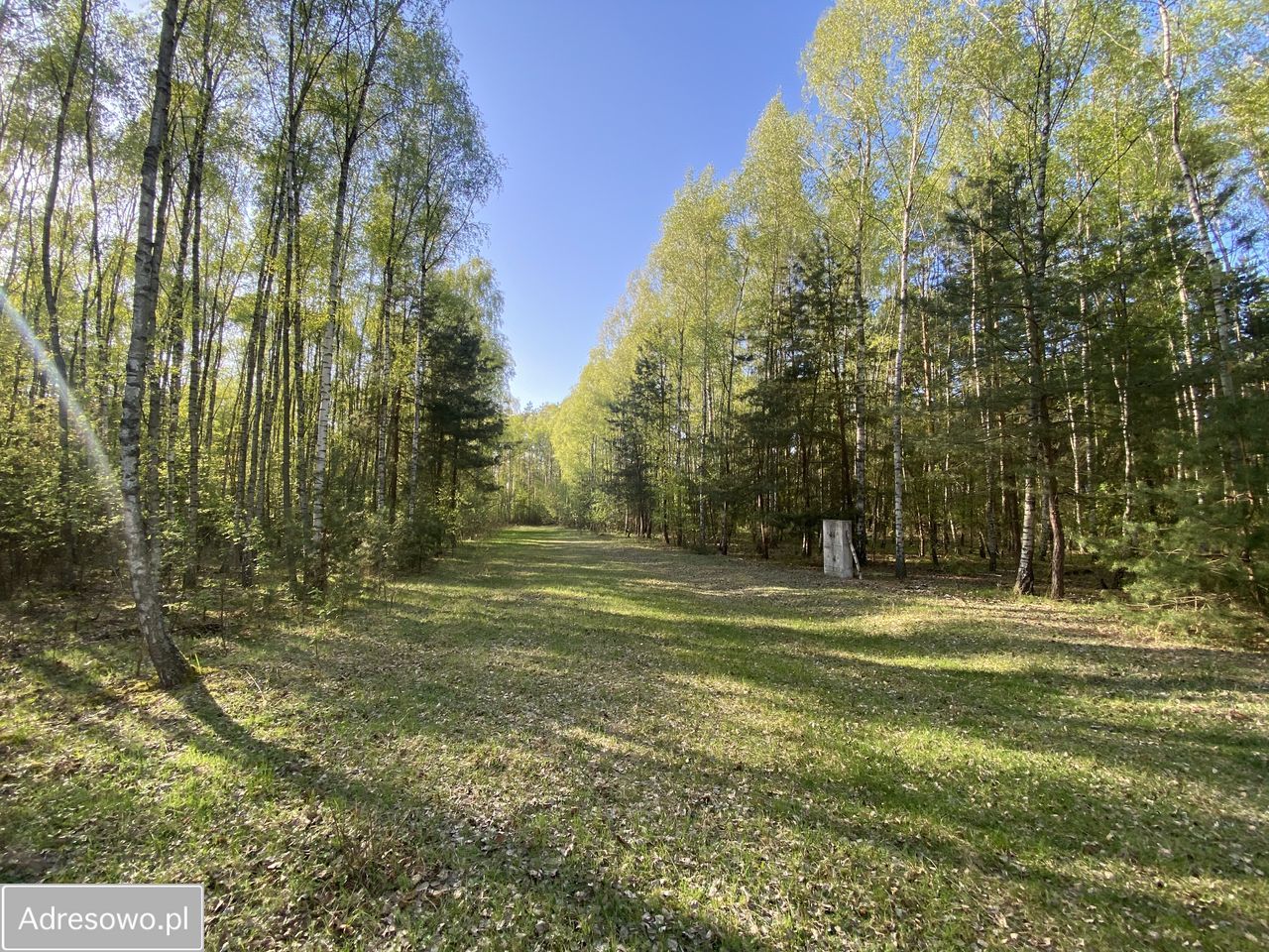 Działka budowlana Skórka. Zdjęcie 2