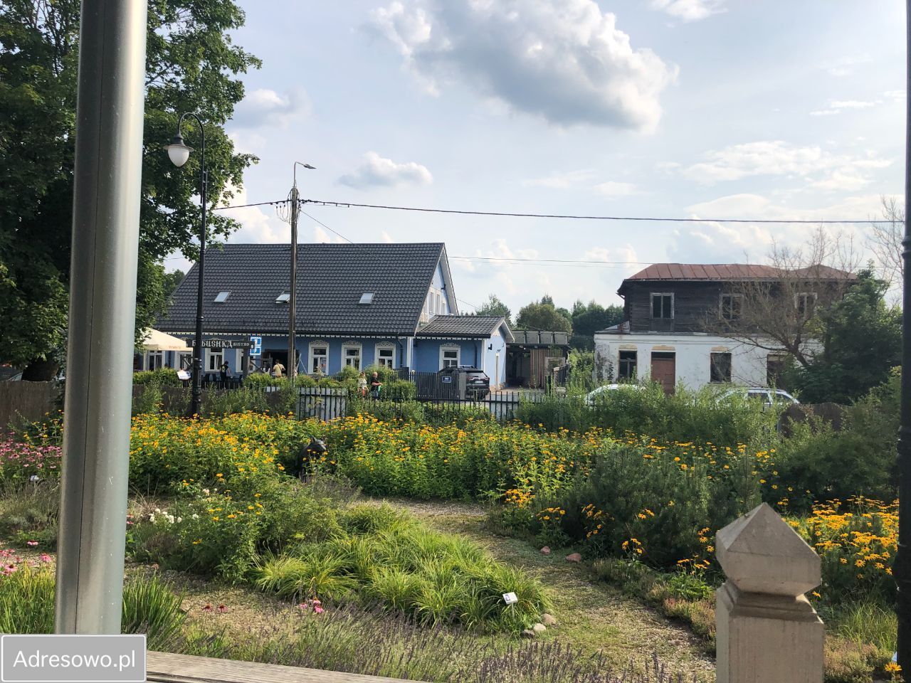 Lokal Białowieża. Zdjęcie 10