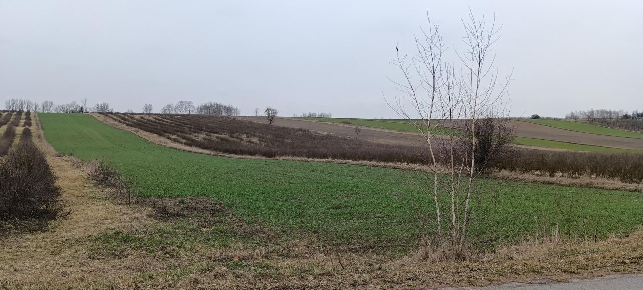 Działka rolno-budowlana Józefatów. Zdjęcie 3