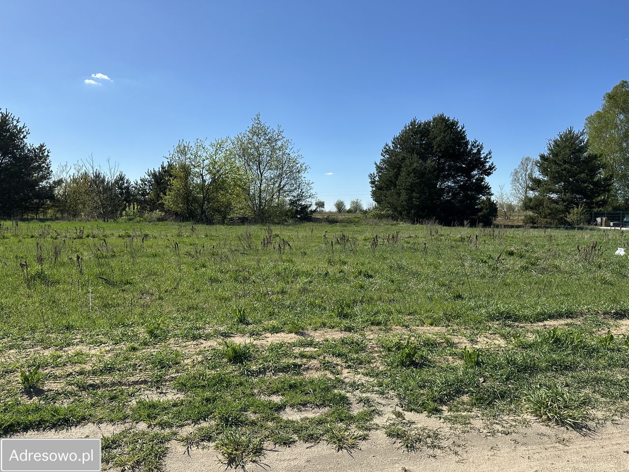 Działka budowlana Wiewiórczyn, ul. Józefa Hallera. Zdjęcie 4