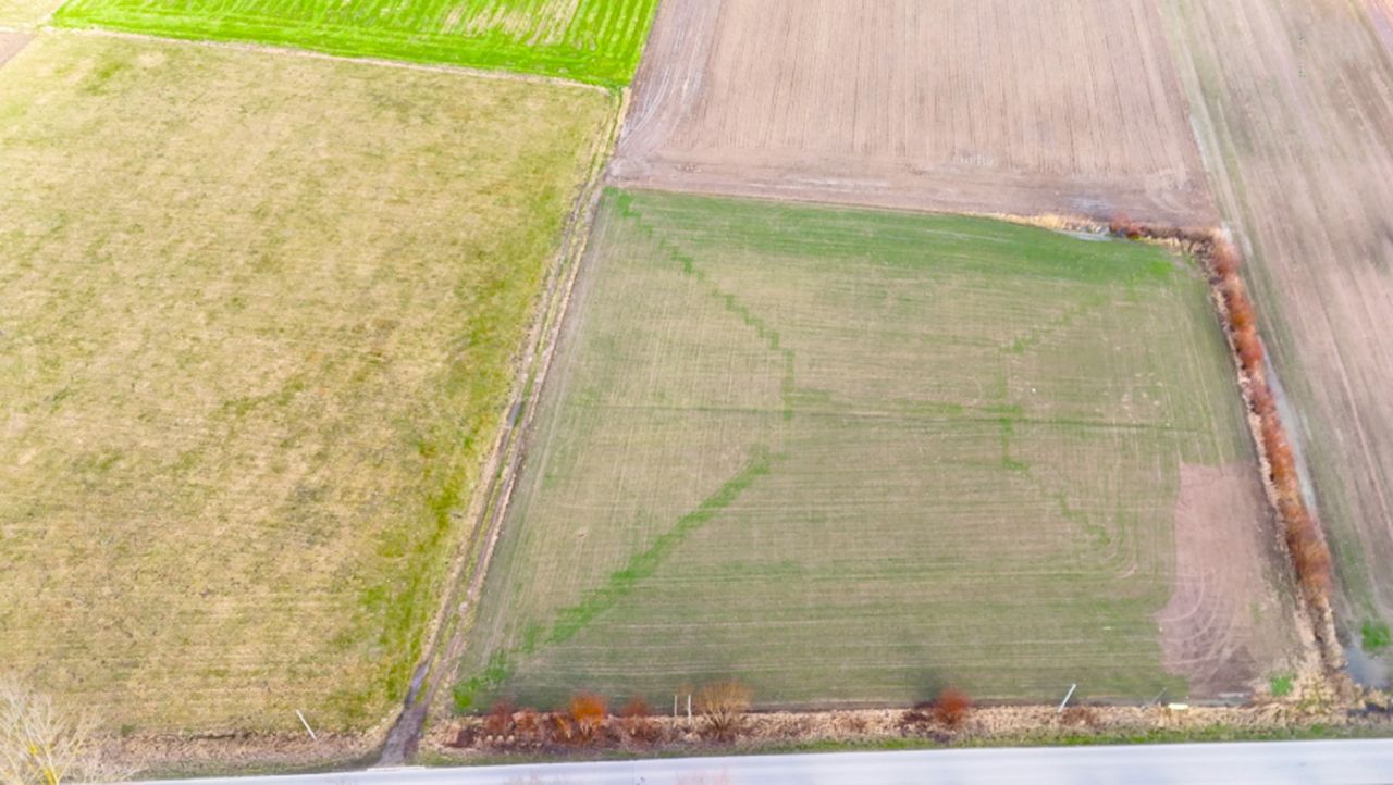 Działka rolno-budowlana Stegienka. Zdjęcie 9