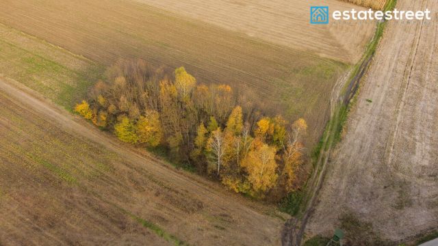 Działka rolna Wybrzeże. Zdjęcie 2