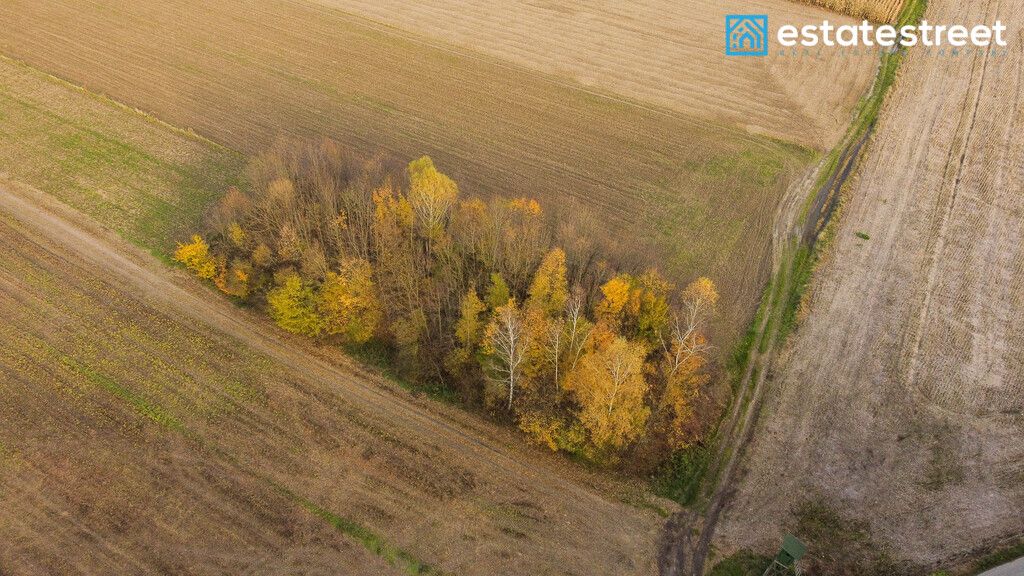 Działka rolna Wybrzeże. Zdjęcie 2