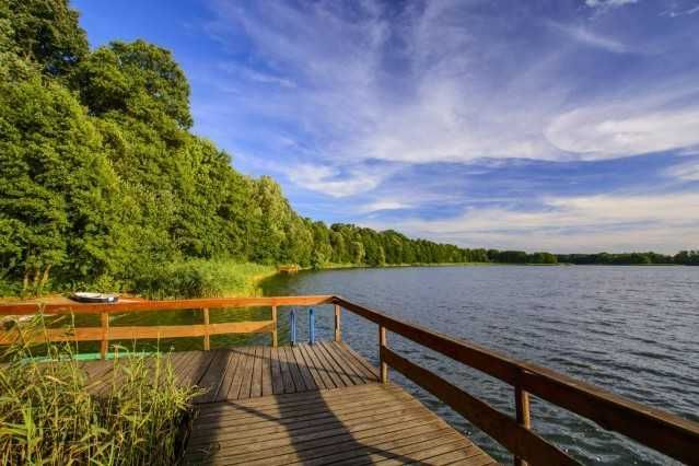 Działka Skarpa. Zdjęcie 8