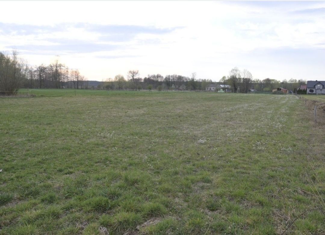 Działka budowlana Rutki-Begny. Zdjęcie 4