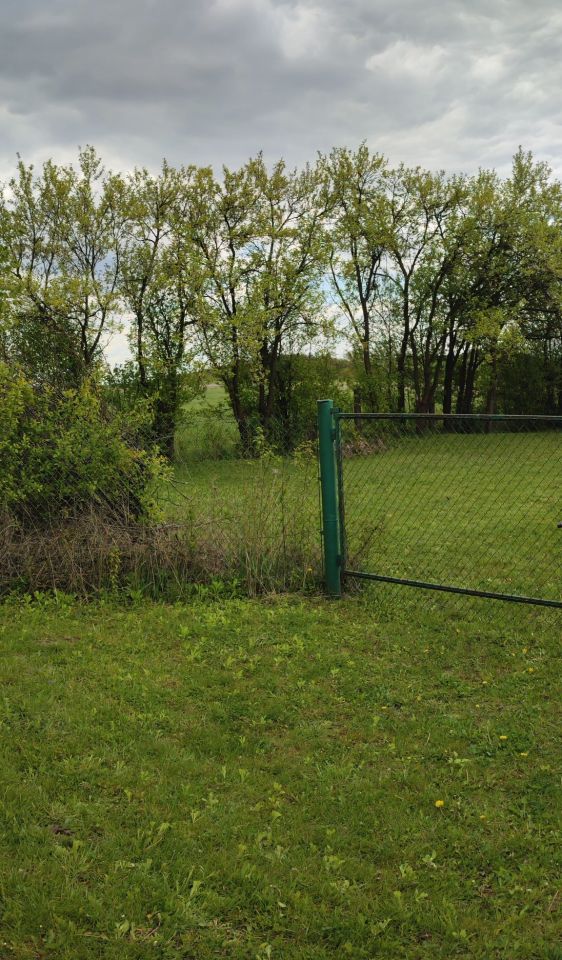Działka rolno-budowlana Gruszczyn. Zdjęcie 5