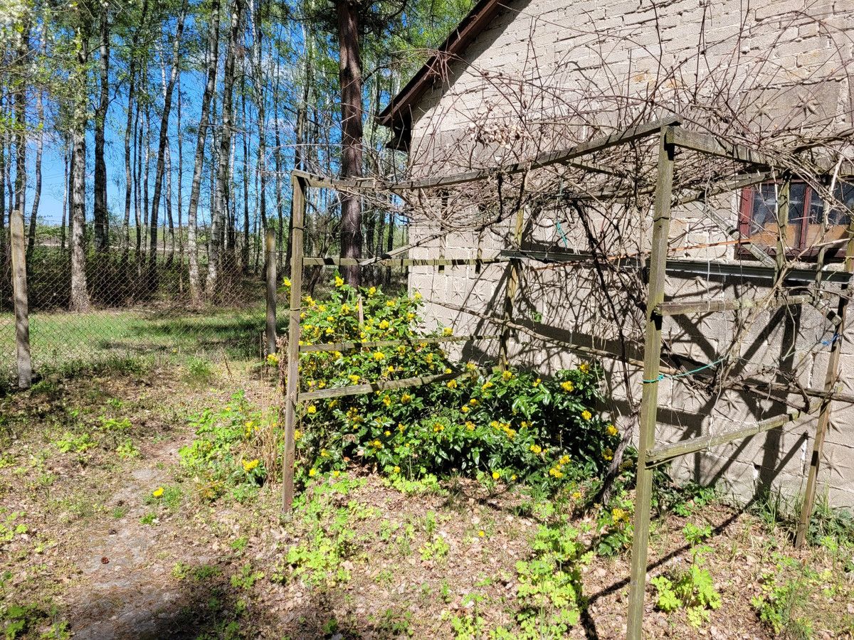 siedlisko Zaręby, ul. Kuropatwy. Zdjęcie 12