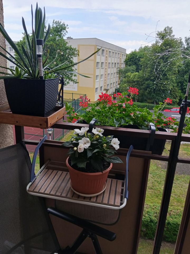 Mieszkanie 2-pokojowe Toruń Podgórz, ul. mjr. Ludwika Idzikowskiego. Zdjęcie 16