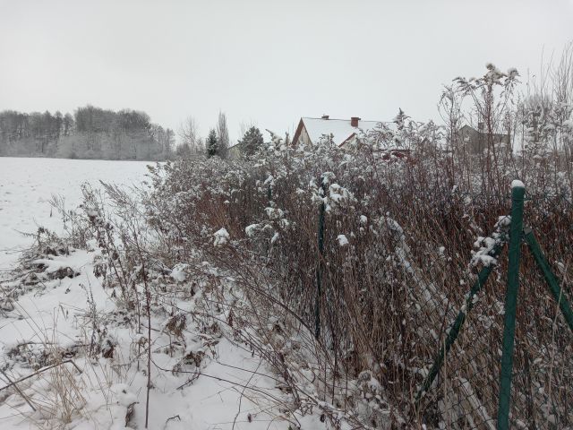 Działka rekreacyjna Głogowo, ul. Osikowa. Zdjęcie 1