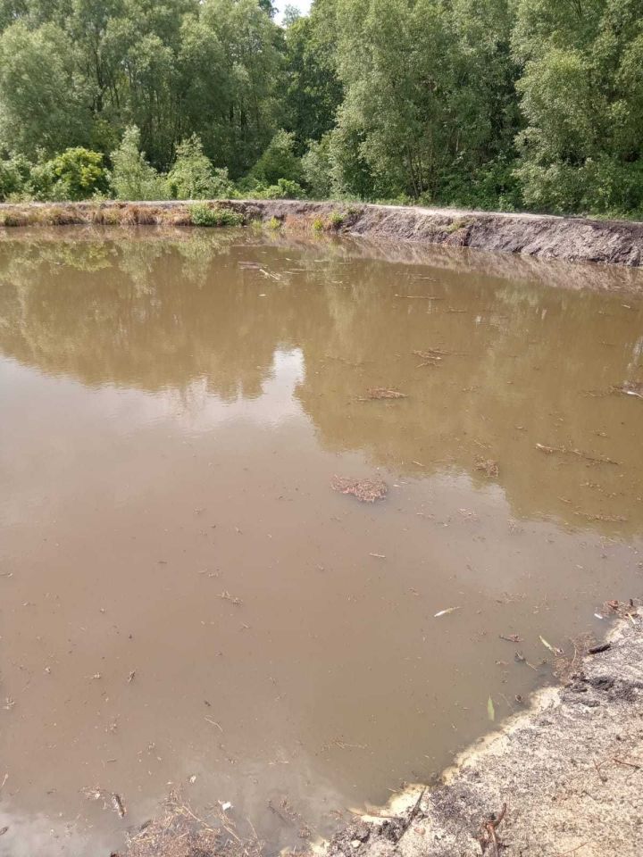 Działka rolna Łukowce. Zdjęcie 3