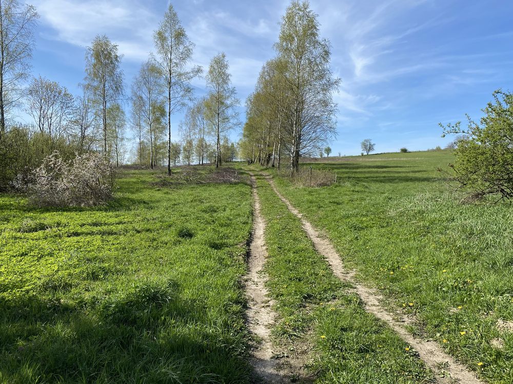 Działka siedliskowa Wygoda Wólka Klonowska. Zdjęcie 2
