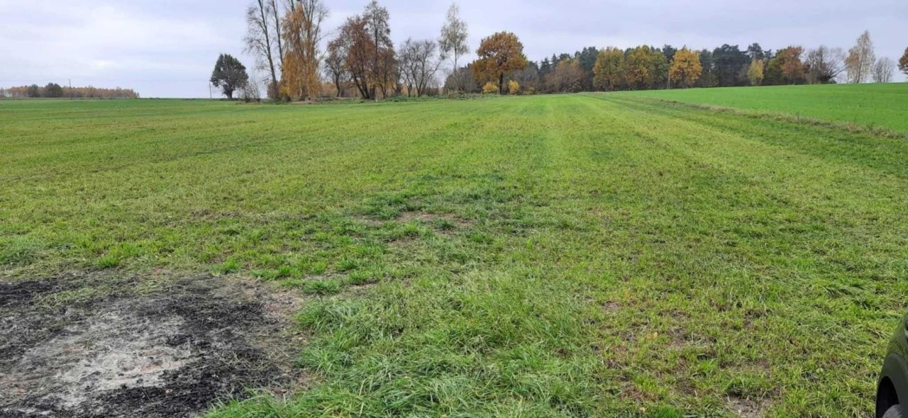 Działka rekreacyjna Jurzyn. Zdjęcie 3