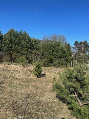 Działka budowlana Bądzyń, ul. ks. Brzóski. Zdjęcie 8