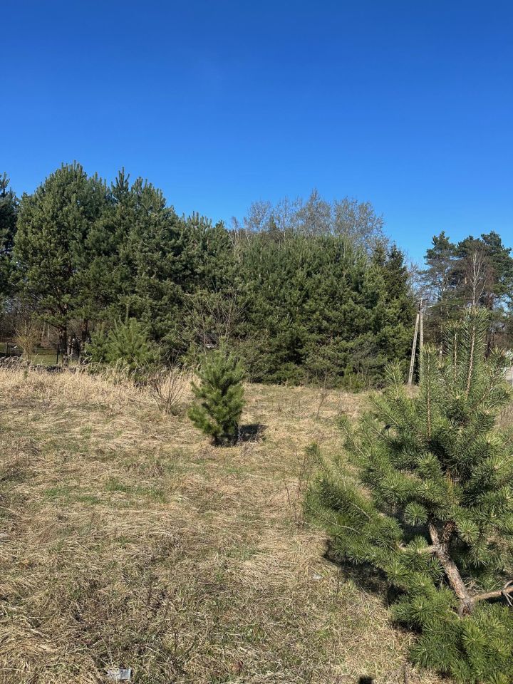 Działka budowlana Bądzyń, ul. ks. Brzóski. Zdjęcie 8