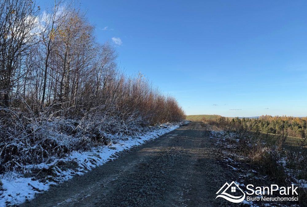 Działka rolna Bircza. Zdjęcie 6