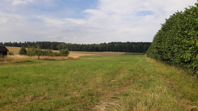 Działka budowlana Nikielkowo, ul. Krokusowa. Zdjęcie 1