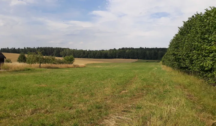 Działka budowlana Nikielkowo, ul. Krokusowa