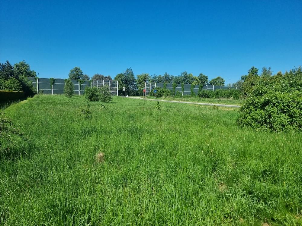 Działka budowlana Warszowice, ul. Kościelna. Zdjęcie 3