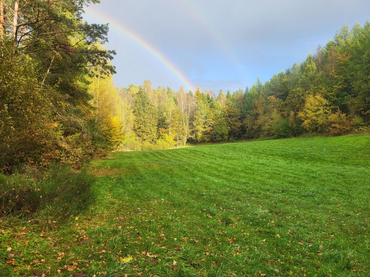 Działka siedliskowa Brodnica Górna, ul. Wodociągowa. Zdjęcie 3