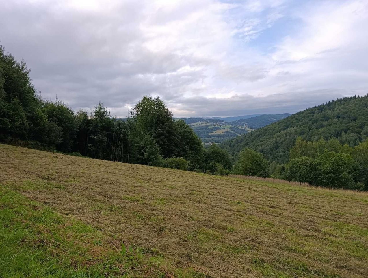 Działka Świnna. Zdjęcie 6