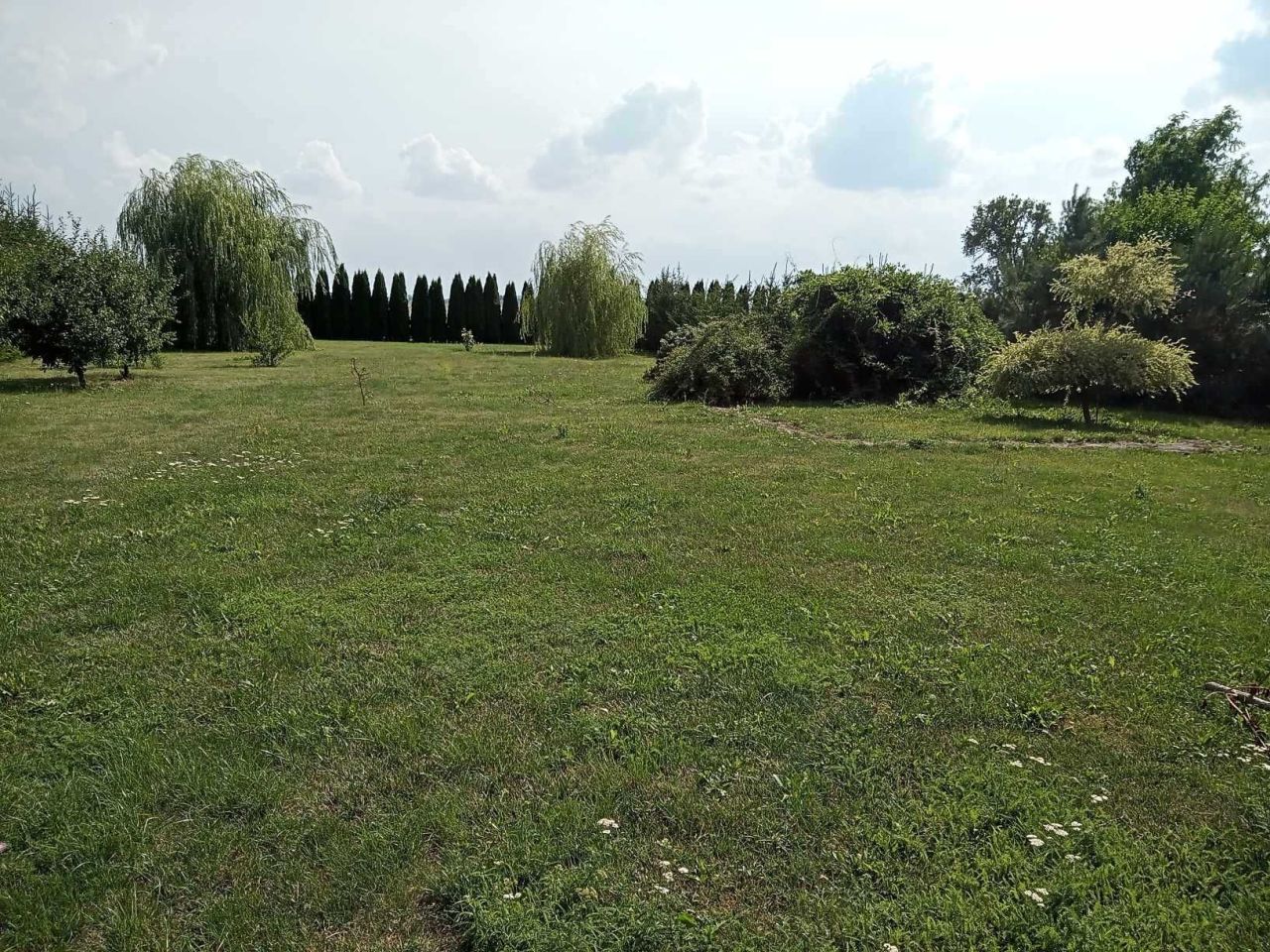 Działka budowlana Wierzbowo. Zdjęcie 8