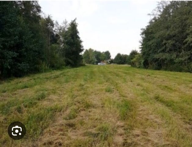 Działka rolna Krajno-Zagórze. Zdjęcie 1