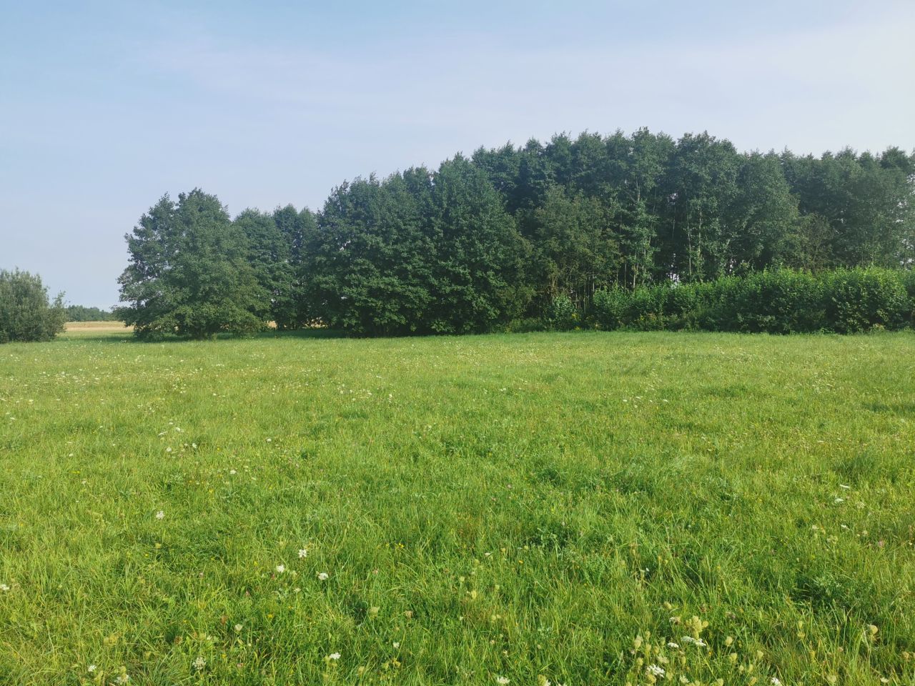 Działka inna Grabniak Za Jeziorem. Zdjęcie 3