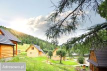 Nieruchomość komercyjna Jaworki Czarna Woda. Zdjęcie 1