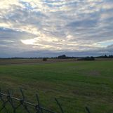 Działka rolno-budowlana Zemborzyce Tereszyńskie. Zdjęcie 3